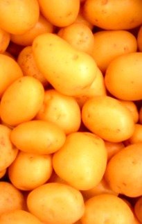 potato.jpg