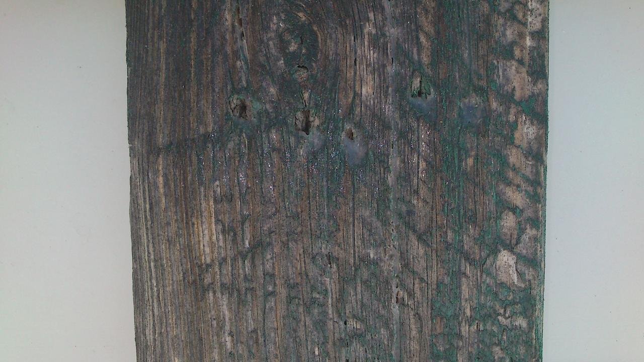 DSC_0007.jpg