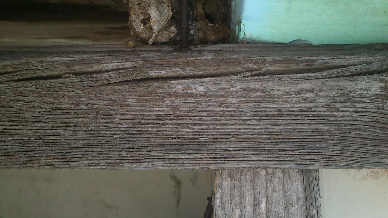 DSC_0003.jpg