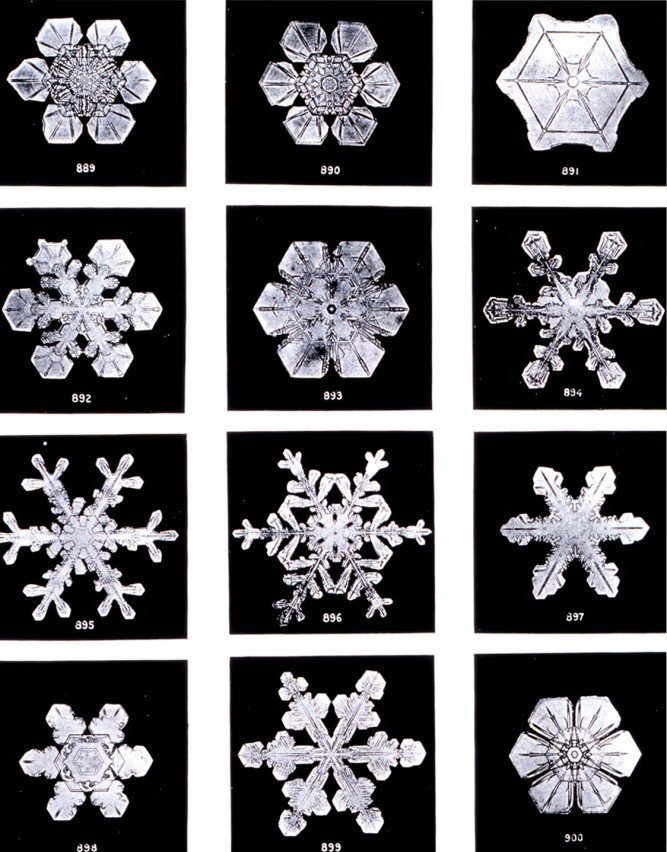 snowflake-under-microscope-image-2-667x852.jpg