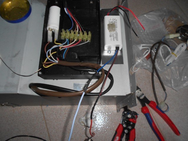 DSCN1921 (Small).JPG