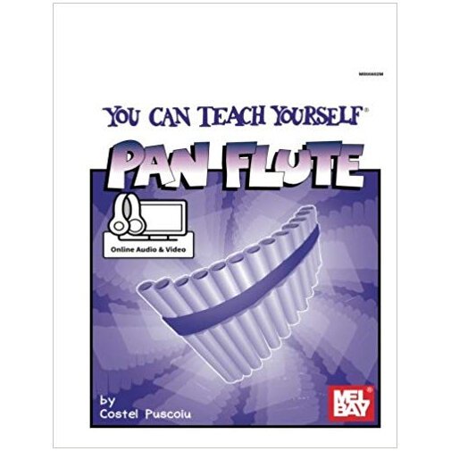 69834595_YouCanTeachYourselfPanFlute(BKAUDVID)_538949.JPG.2a2170a6558cb0ef8f3bd3d15e763813.JPG