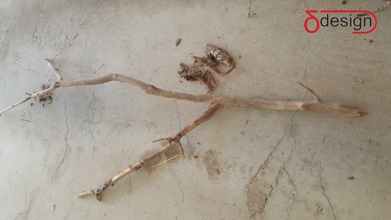 1 Γβ Γβ°ΓβΓΒΉΓΖΓβΓΒΉΓΒΊΓΒΏ ΓΒΏΓΒΓΒΏΓβ ΓΒ·Γβ ΓΒΊΓΒ±ΓΒΓβ¦ΓΒ΄ΓΒ...jpg