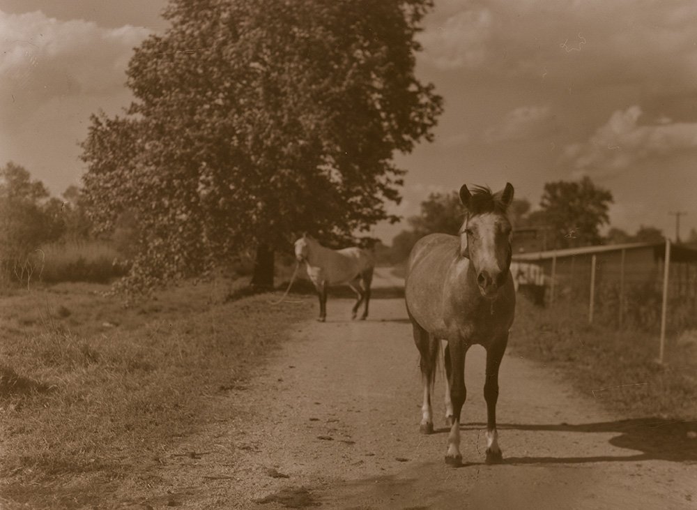 P3740897cs.jpg