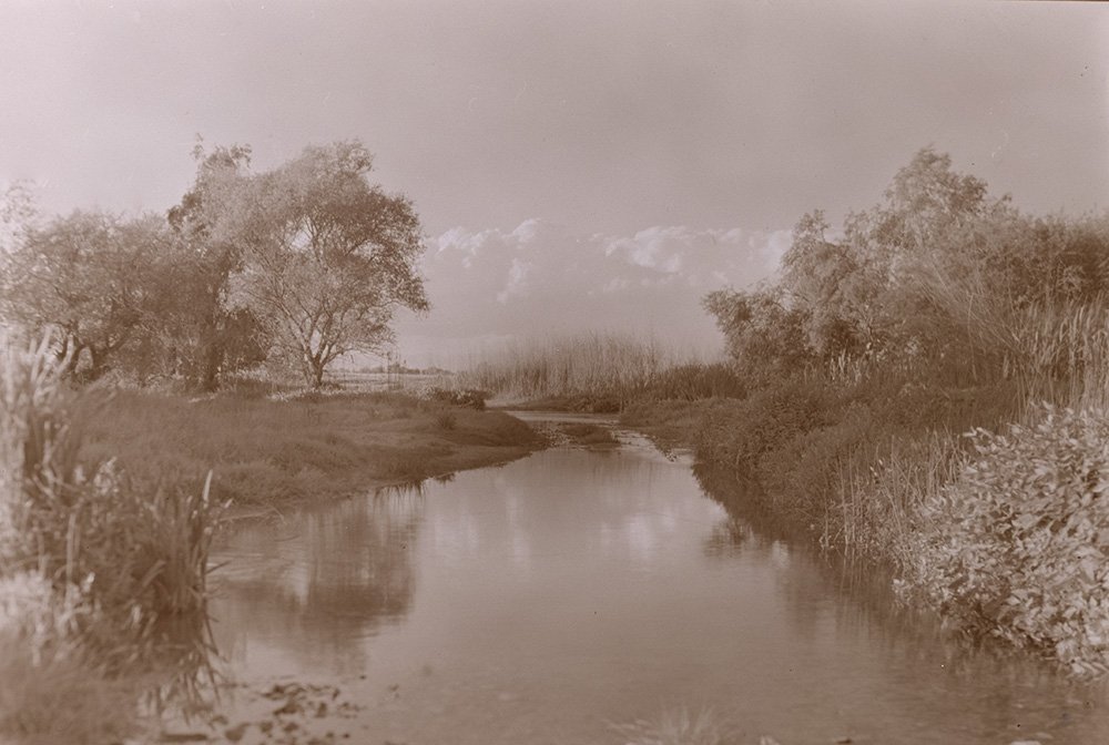 P3740896cs.jpg