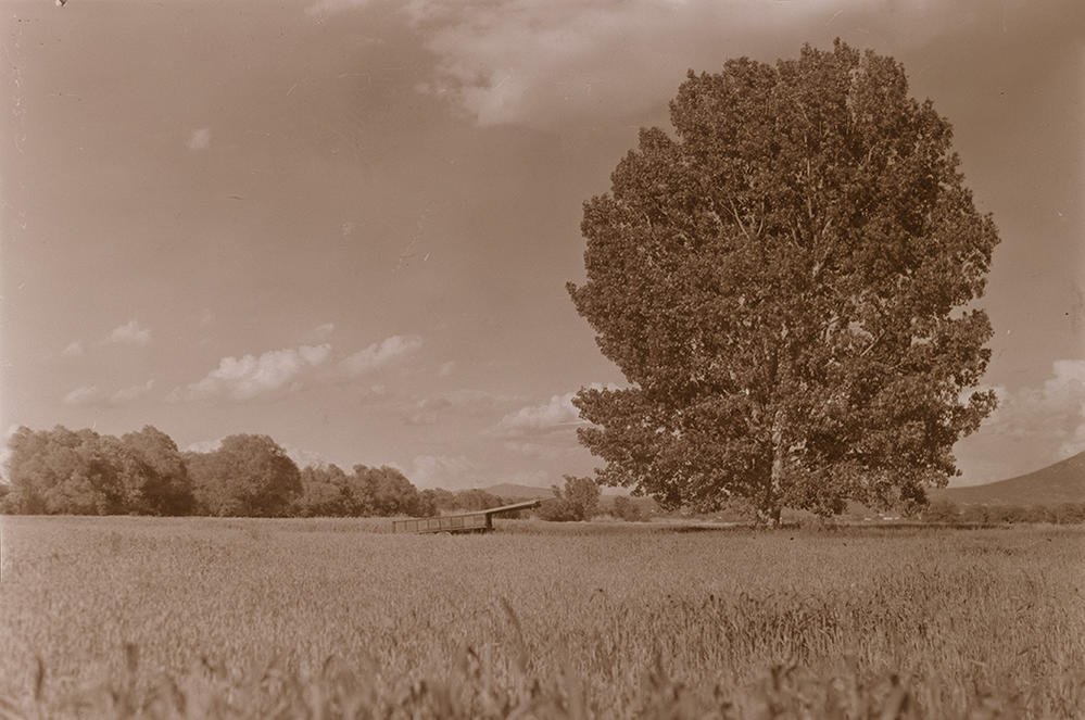 P3740898bs.jpg