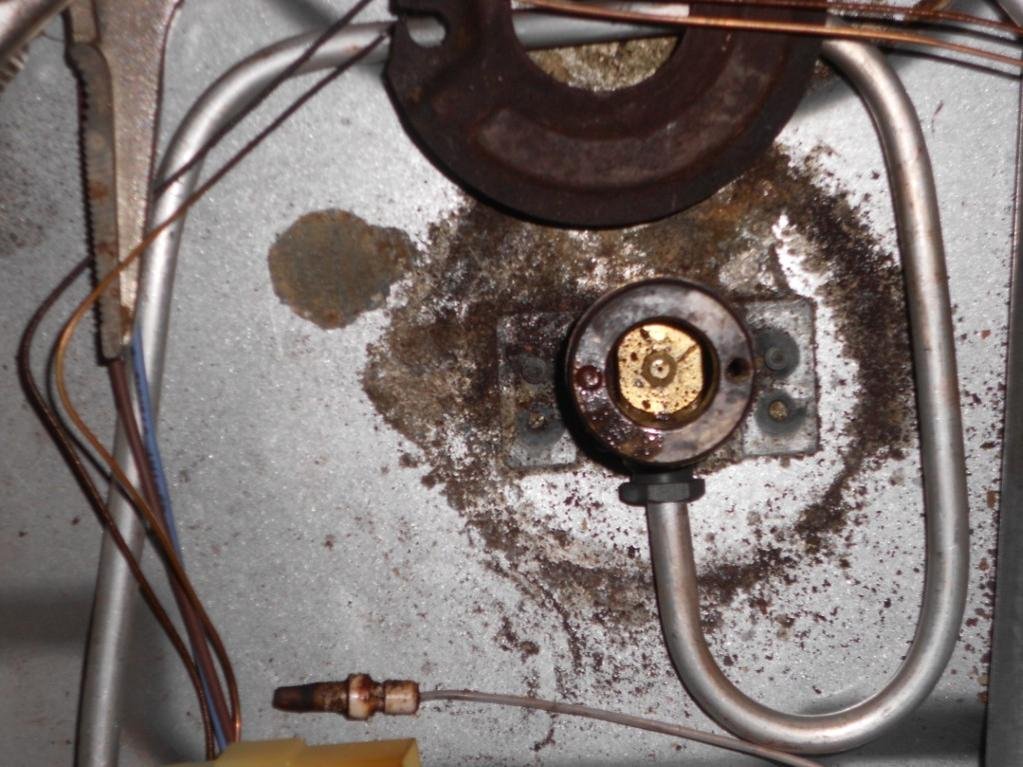 DSCN1885 (Medium).jpg