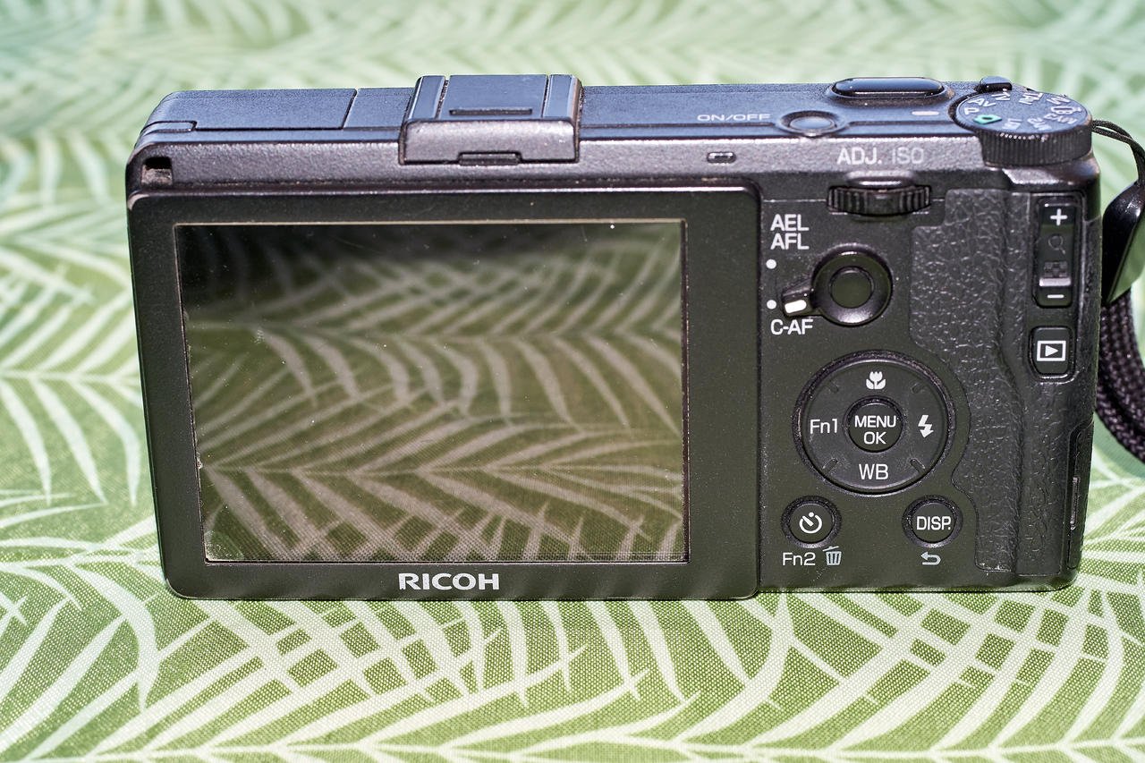_DSF0061 ricoh.jpg _DSF0061 ricoh.jpg