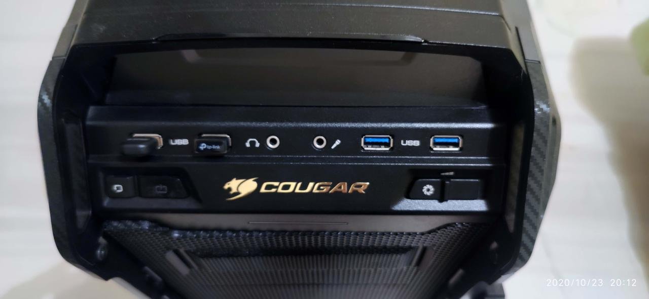 cougar 2.jpg