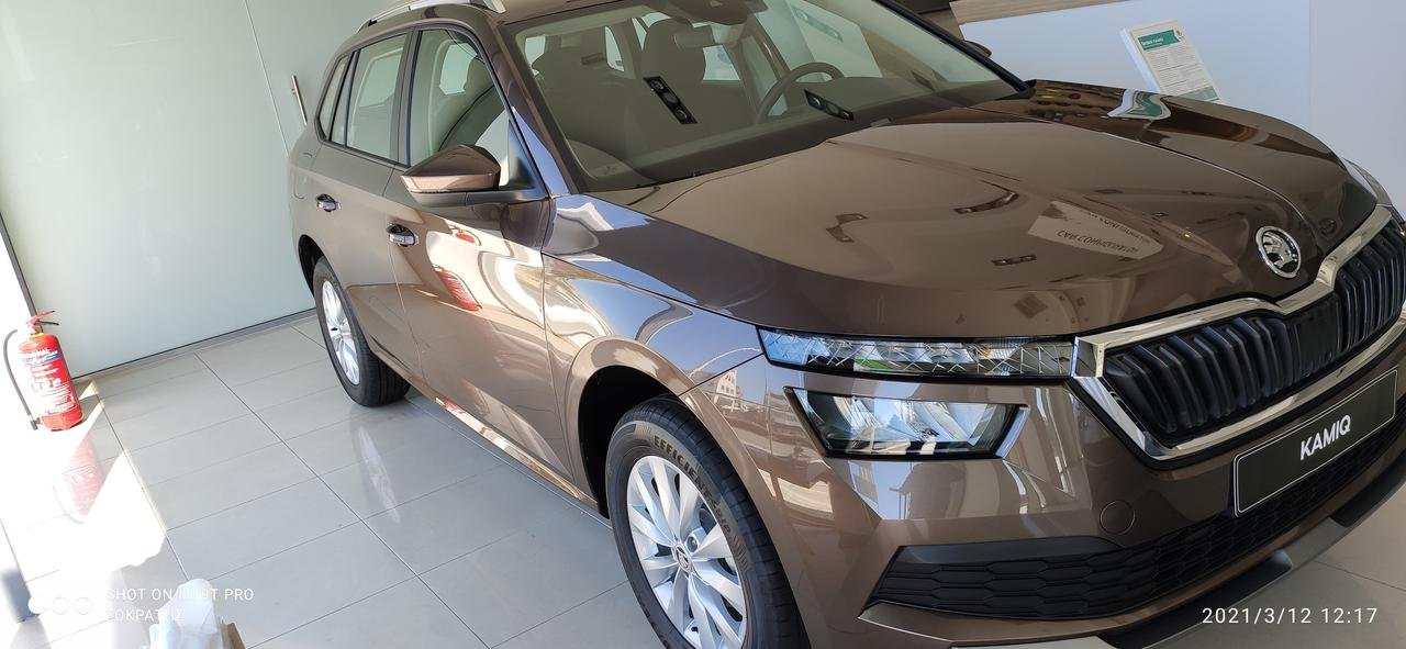 SKODA KAMIQ.jpg
