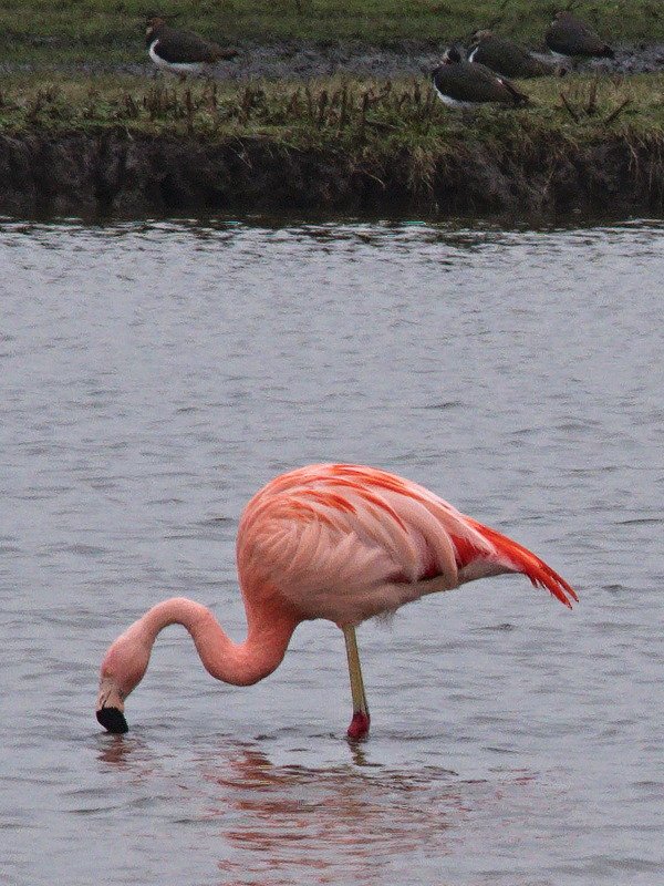 2NS_0084 - 600Γβ‘800-1.jpg