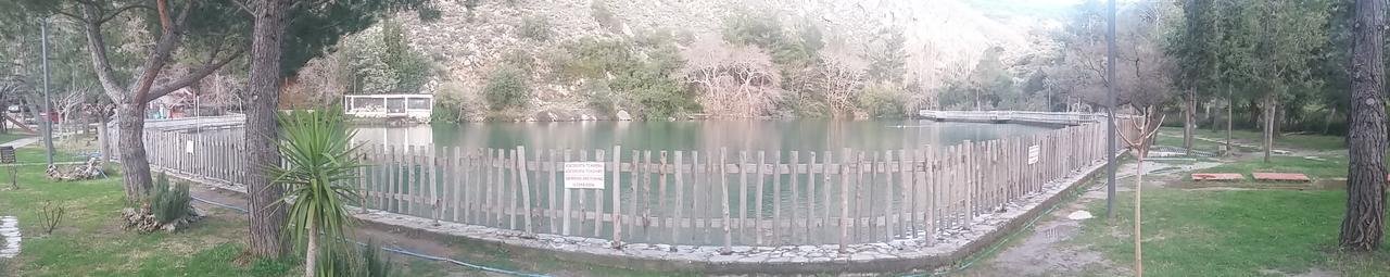 2019-02-17 17.34.34.jpg