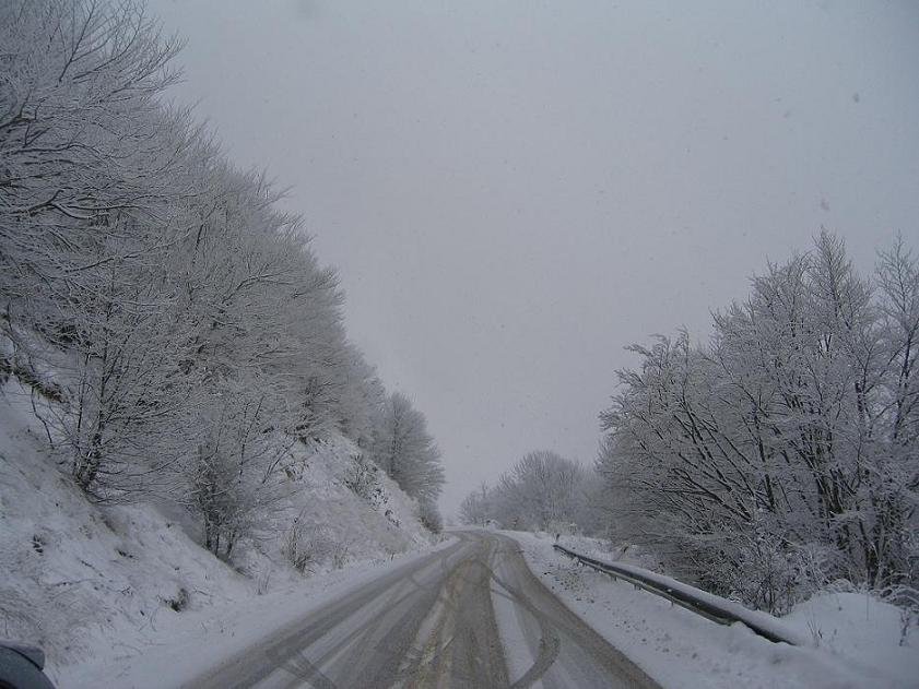 KAIMAKTSALAN2007 02121212.JPG