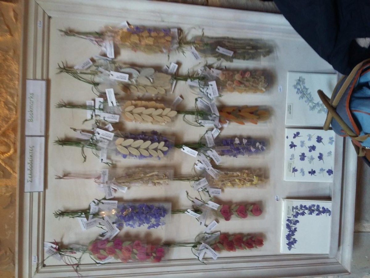 2019-02-17 14.28.22.jpg 2019-02-17 14.28.22.jpg