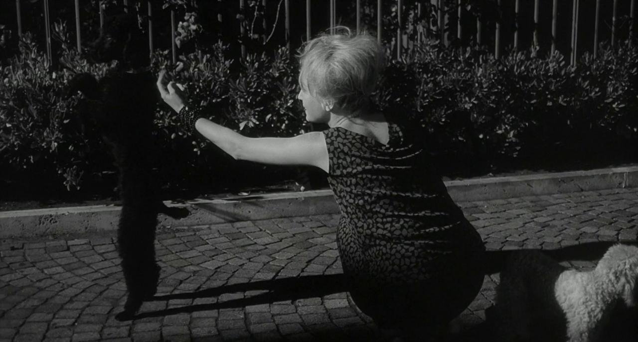 vlcsnap-2020-05-19-17h16m04s005.jpg vlcsnap-2020-05-19-17h16m04s005.jpg