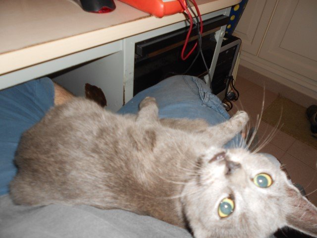 DSCN1880 (Small).JPG