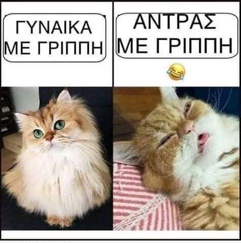  ΓΒΌΓΒ΅ ΓΒ³ΓΒΓΒ―Γβ¬Γβ¬ΓΒ· - ΓΒ¬ΓΒ½ΓβΓΒΓΒ±Γβ ΓΒΌΓΒ΅ ΓΒ³ΓΒΓΒ―Γβ¬Γ...jpg