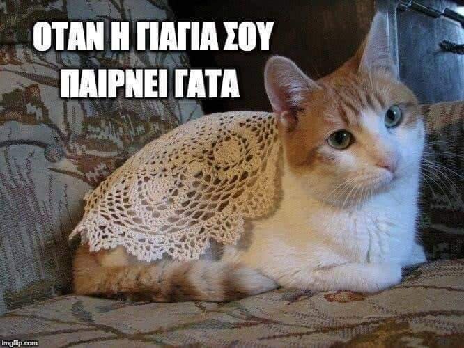 uploadfromtaptalk1573976280291.jpg
