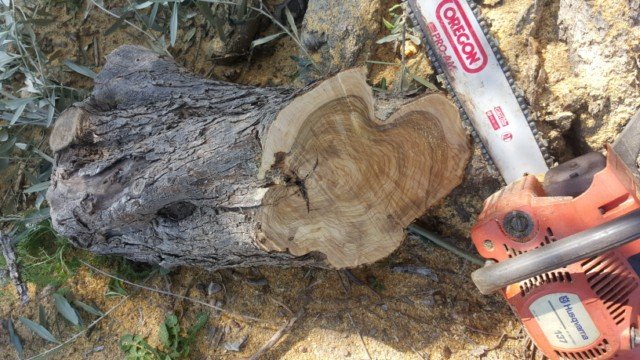 ΓΒΊΓΒΏΓβ¦ΓβΓΖΓΒΏΓβ¦ΓΒΓΒΏ 2 [640x480].jpg