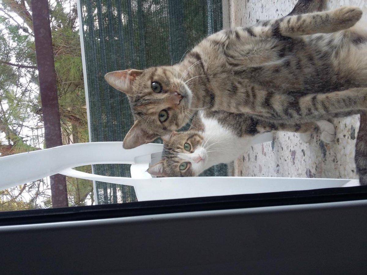 2018-10-08 17.28.51.jpg