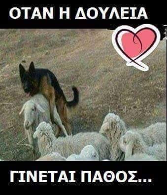  ΓΒ· ΓΒ΄ΓΒΏΓβ¦ΓΒ»ΓΒ΅ΓΒΉΓΒ¬ ΓΒ³ΓΒ―ΓΒ½ΓΒ΅ΓβΓΒ±ΓΒΉ Γβ¬ΓΒ¬ΓΒΈΓΒΏΓβ...jpg