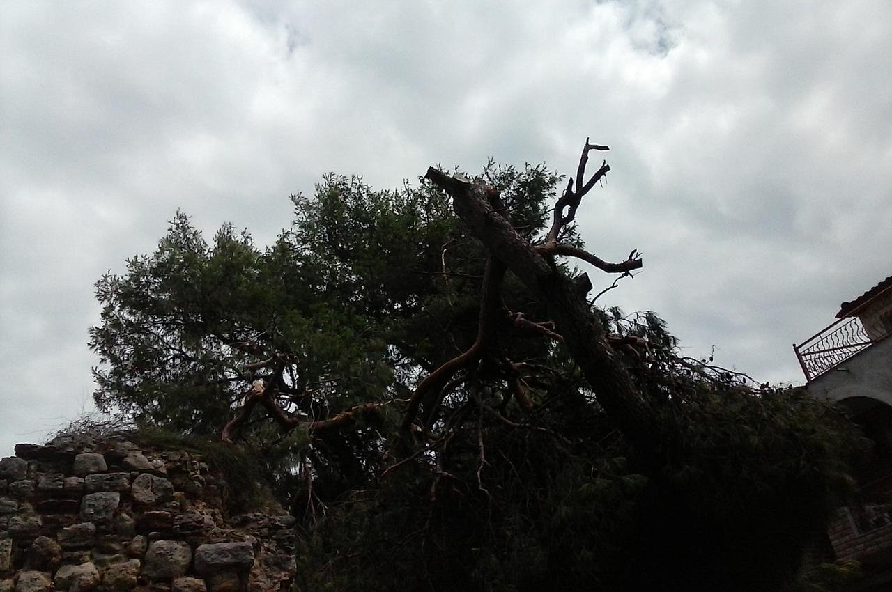 07 ΓΒ£Γβ¬ΓΒ±ΓΖΓΒΌΓΒ­ΓΒ½ΓΒ· ΓΒΊΓΒΏΓΒΓβ¦Γβ ΓΒ?.jpg