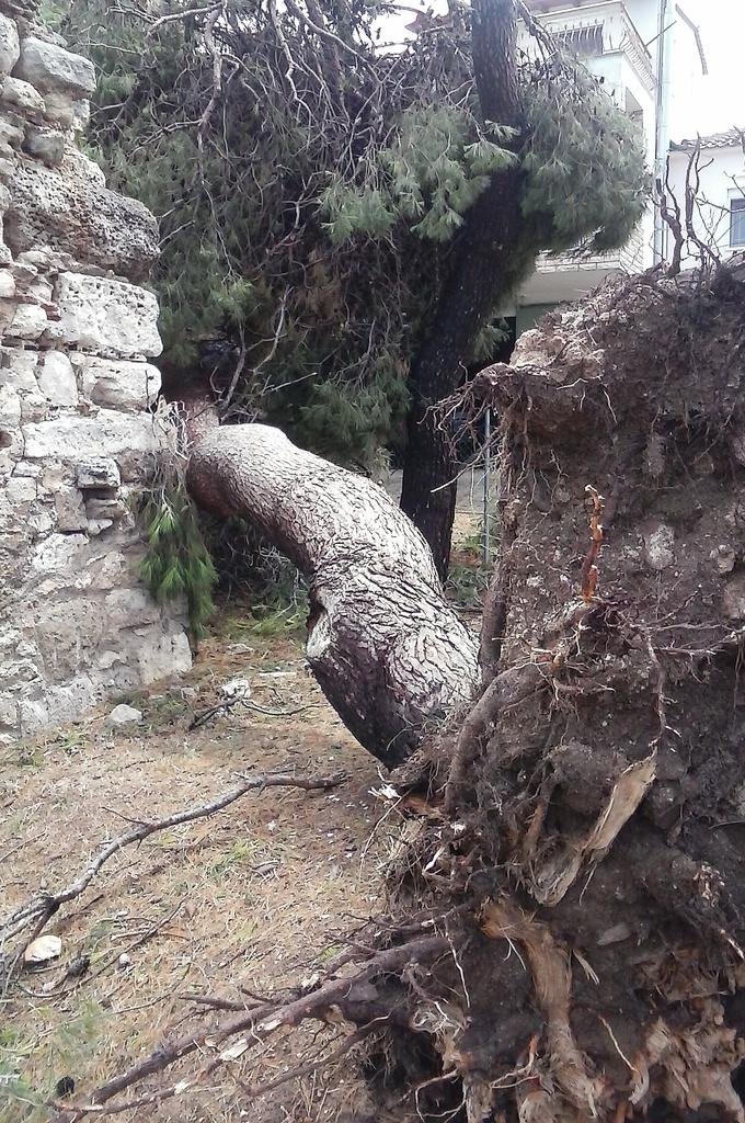 06 ΓΕΎΓΒ΅ΓΒΓΒΉΓΒΆΓβ°ΓΒΌΓΒ­ΓΒ½ΓΒΏ Γβ¬ΓΒ΅ΓΒΓΒΊΓΒΏ.jpg