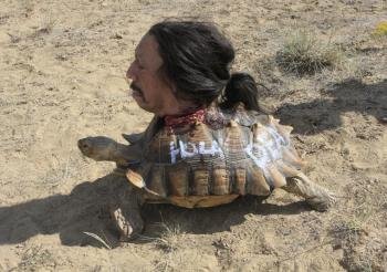 Tortuga-decapitated-and-attached-to-a-tortoise.jpeg