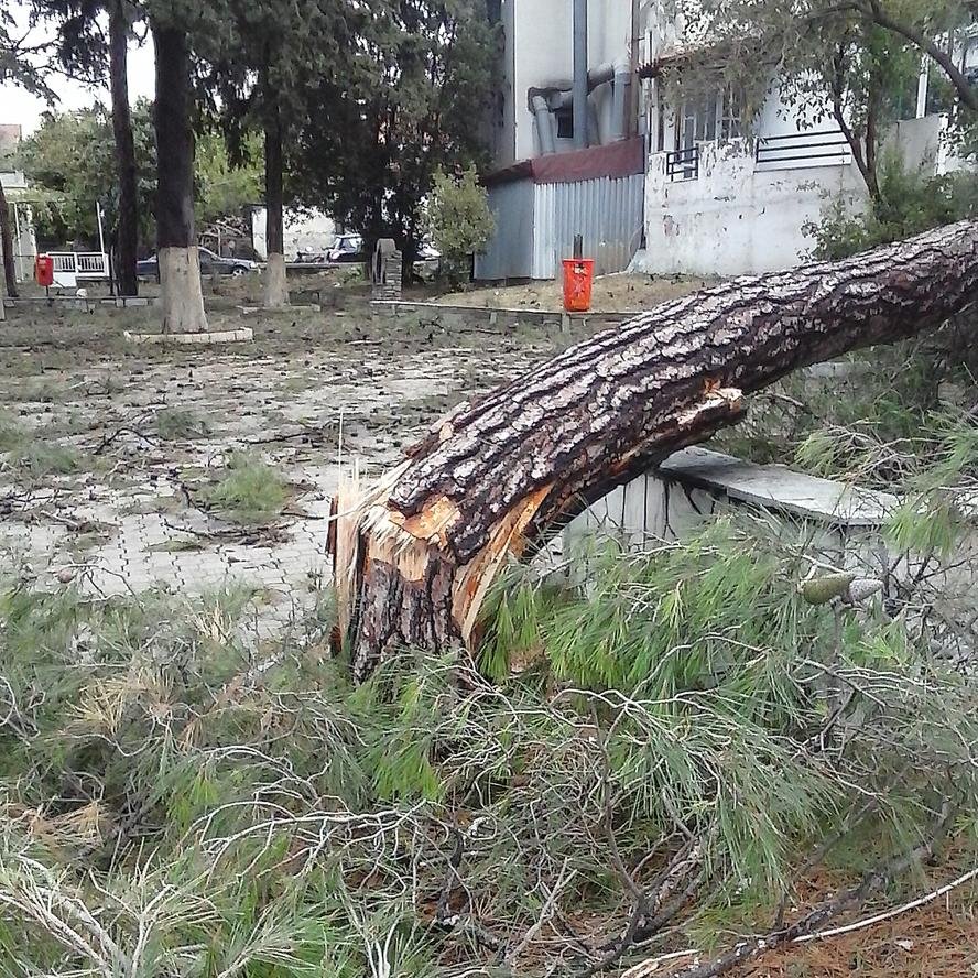 05 ΓΒ€ΓΖΓΒ±ΓΒΊΓΒΉΓΖΓΒΌΓΒ­ΓΒ½ΓΒΏ Γβ¬ΓΒ΅Γβ¦ΓΒΊΓΒ¬ΓΒΊΓΒΉ.jpg