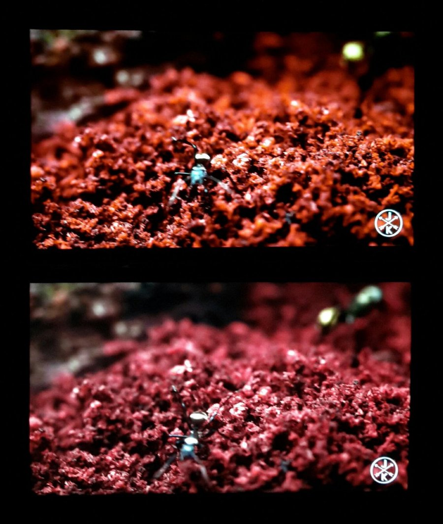 Studio_20191202_113402.jpg Studio_20191202_113402.jpg