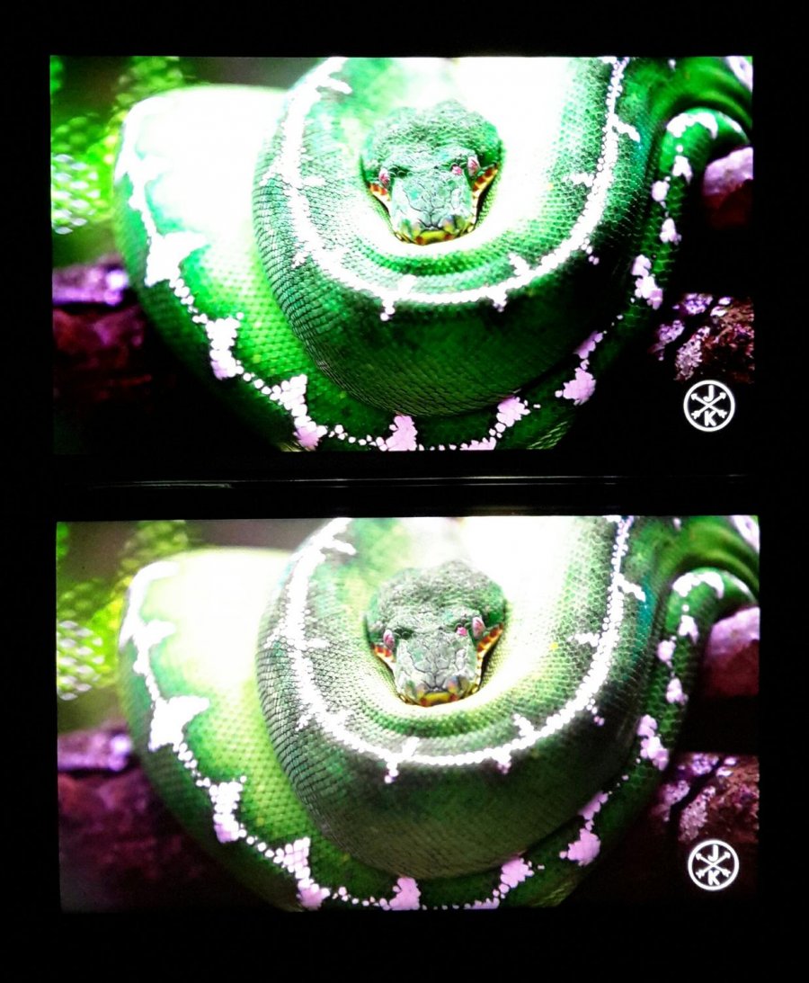 Studio_20191202_113457.jpg Studio_20191202_113457.jpg