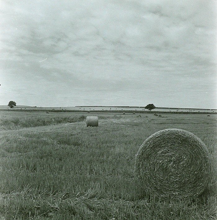 P3770910bbs.jpg