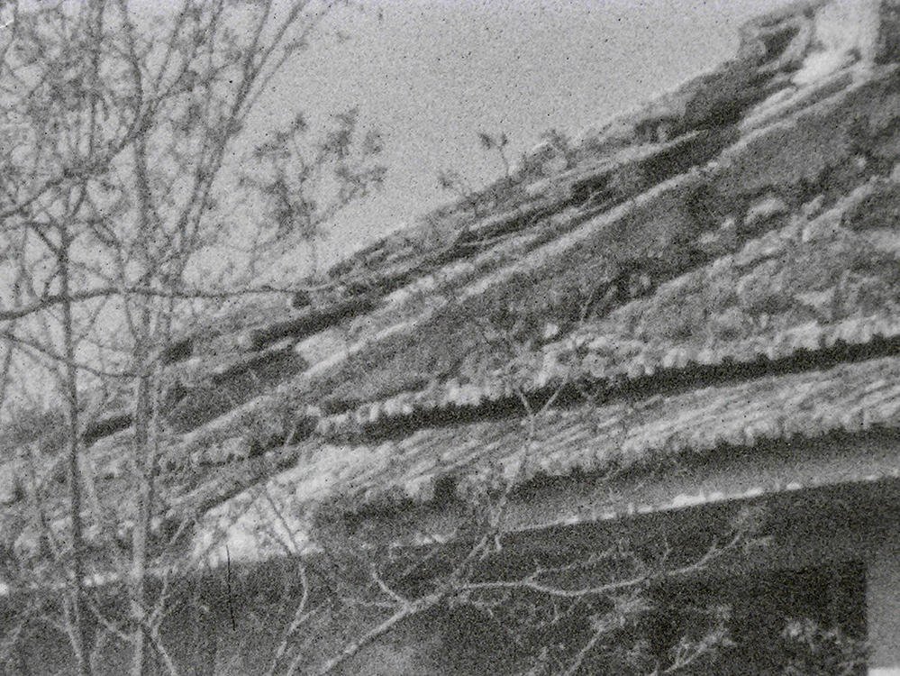 P3740099bs.jpg