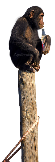 Untitled-1.png Untitled-1.png