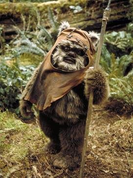 Wicket_W_Warrick.jpg