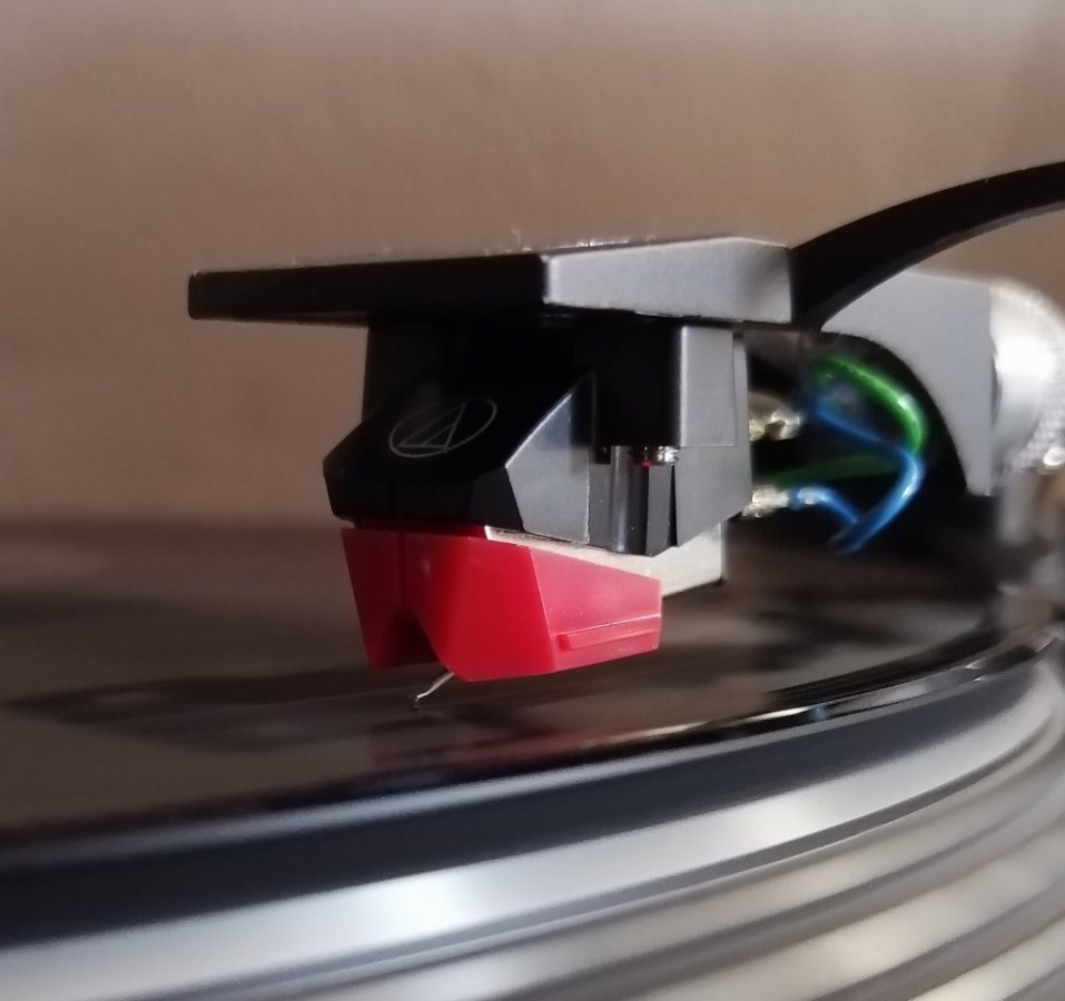 at 95.jpg