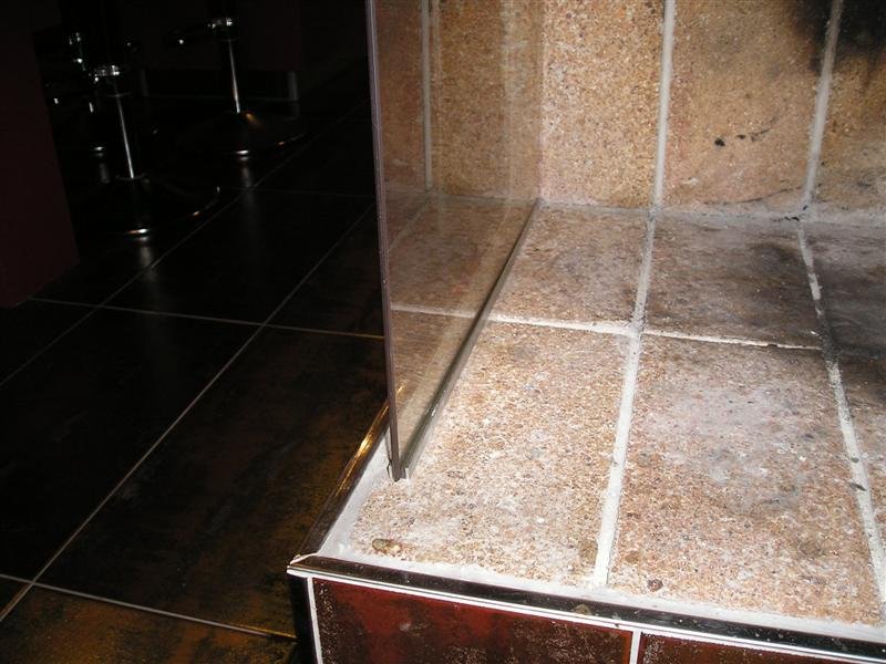 P1010049 (Medium).JPG