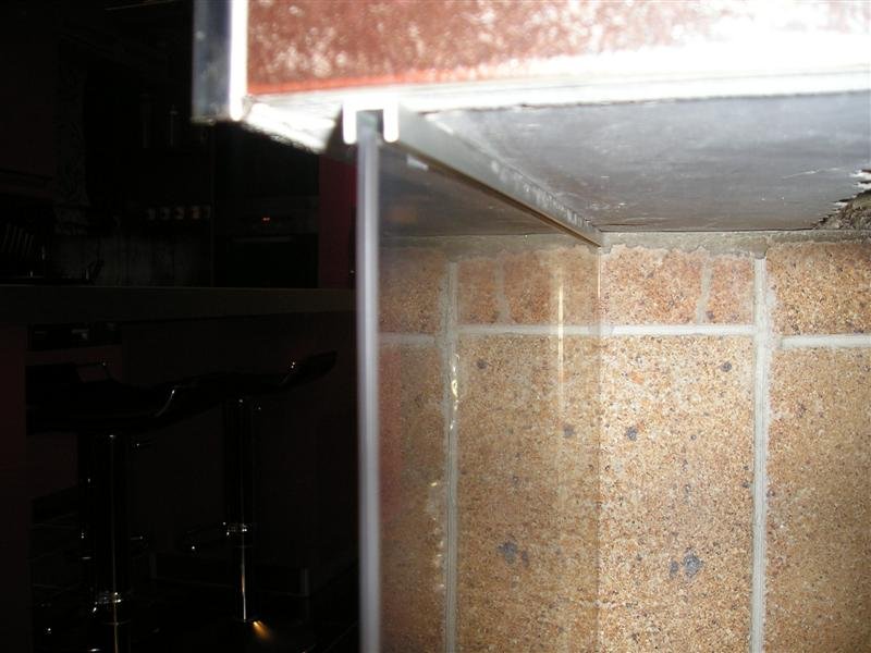 P1010050 (Medium).JPG