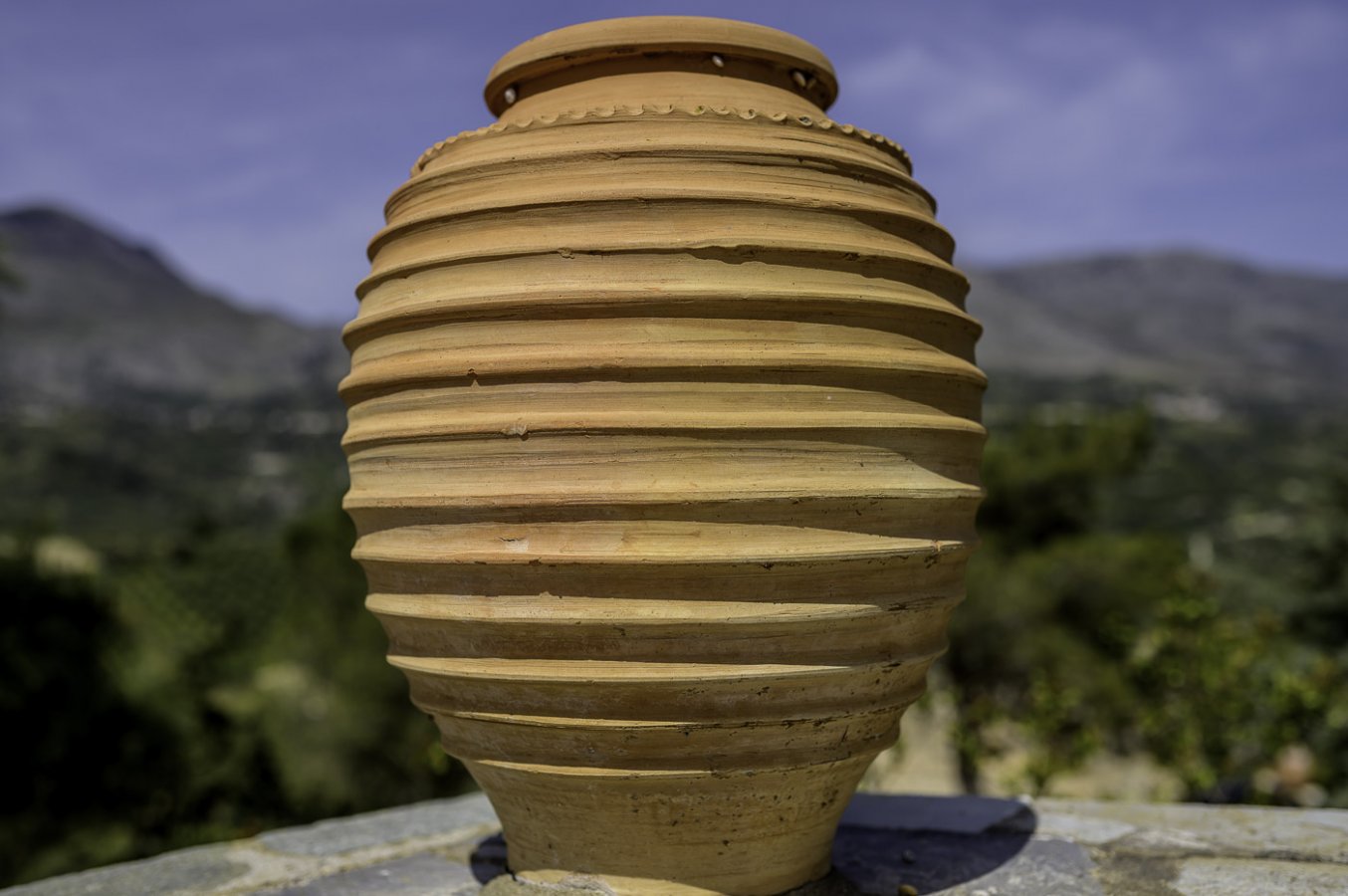 NZ6_0132 and 20210414.jpg