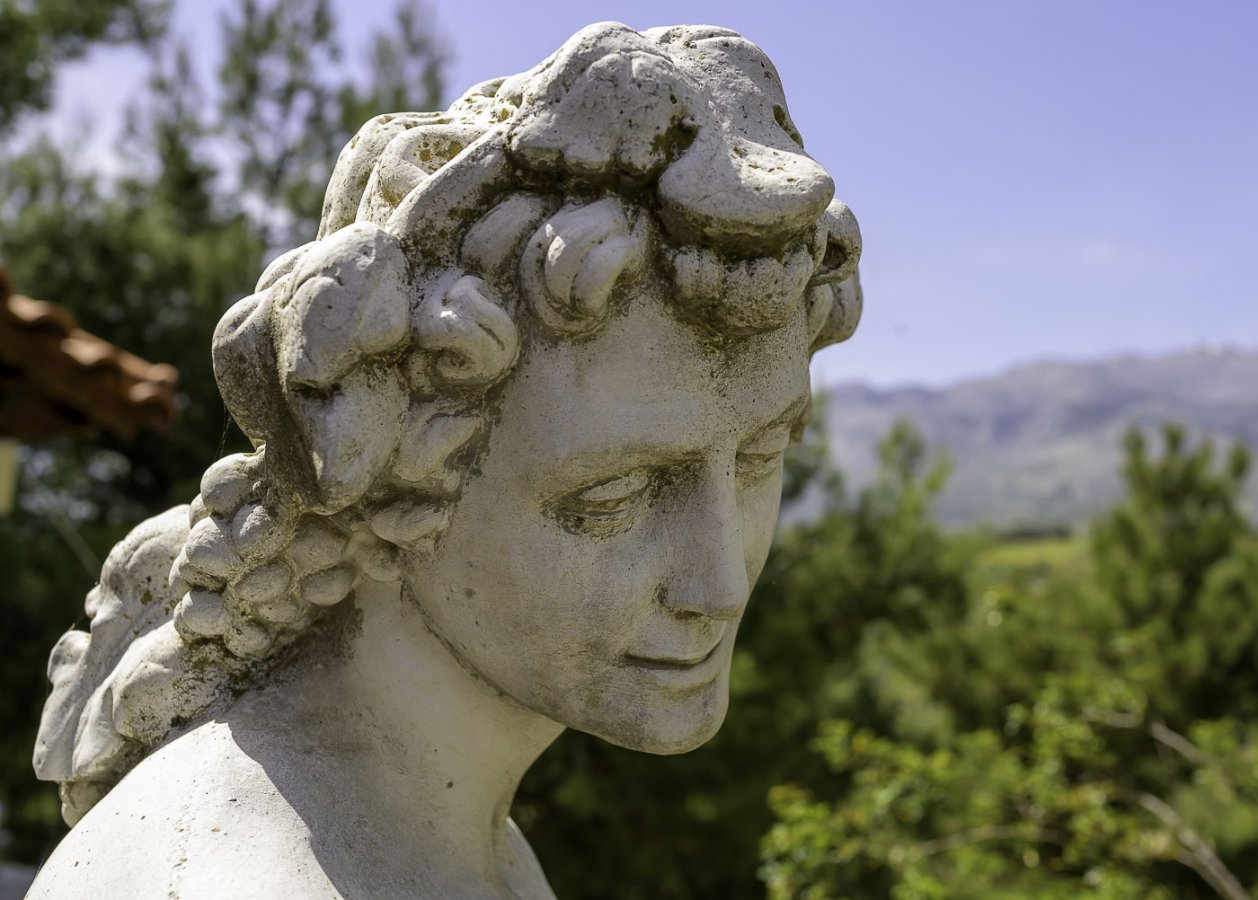 NZ6_0139 and 20210414.jpg