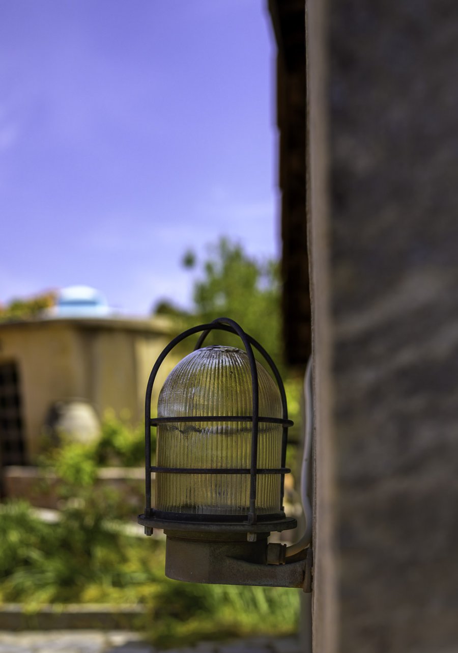 NZ6_0133 and 20210414.jpg NZ6_0133 and 20210414.jpg