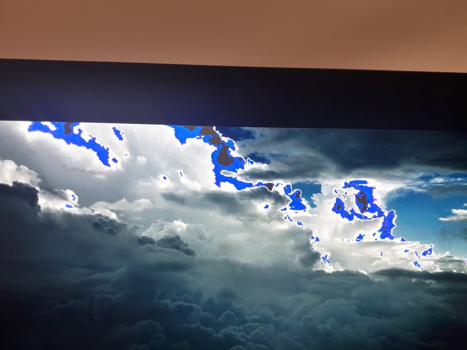 165754533_482540183156821_4424103421139135189_n.jpg