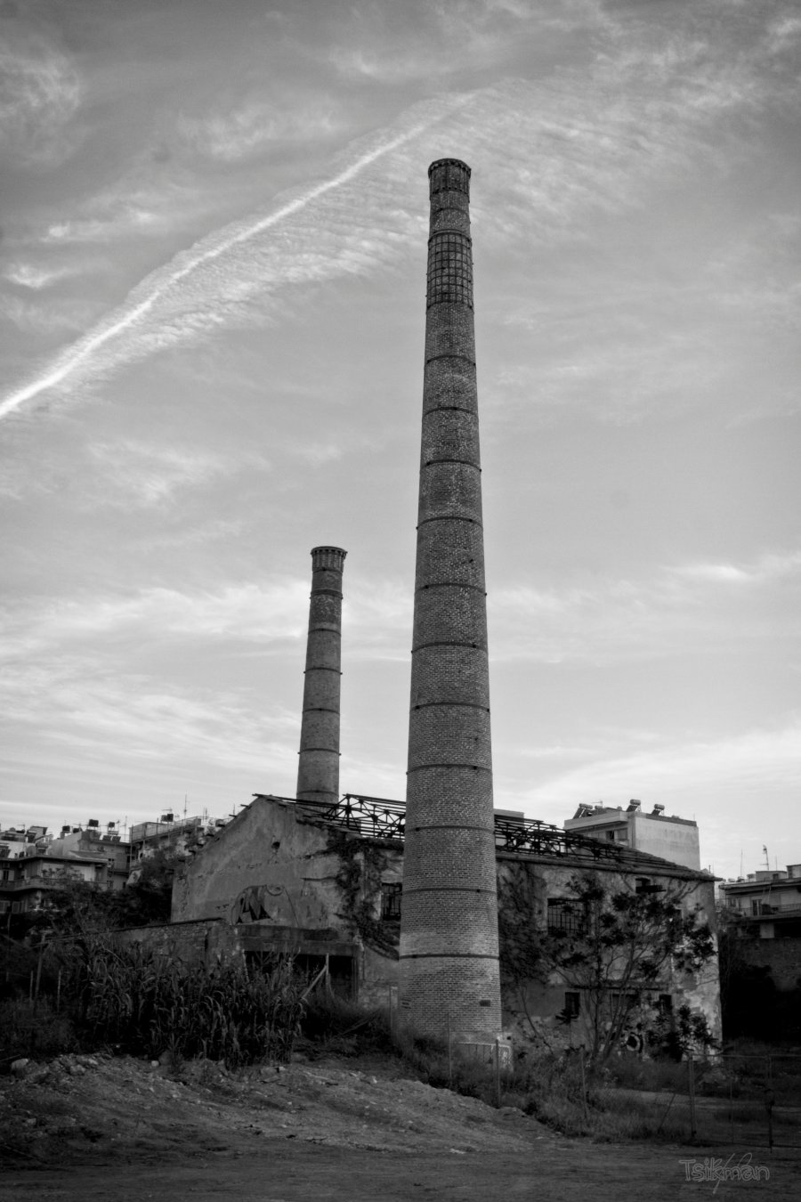 DSC06940 copy.jpg DSC06940 copy.jpg