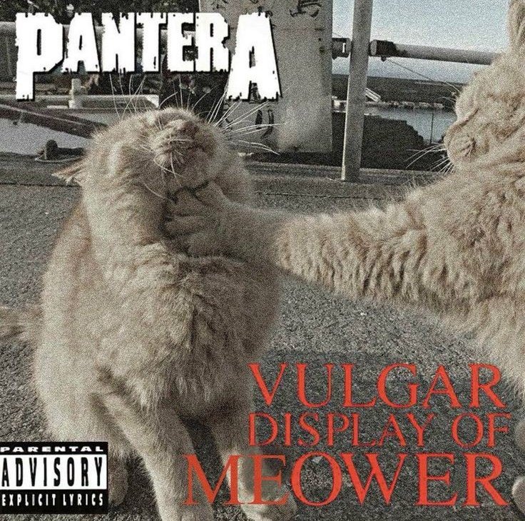 pantera-01.jpeg