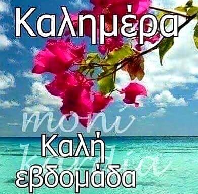 IMG-fdb790ae6ce5232b8cc79137d78f1ed1-V.jpg
