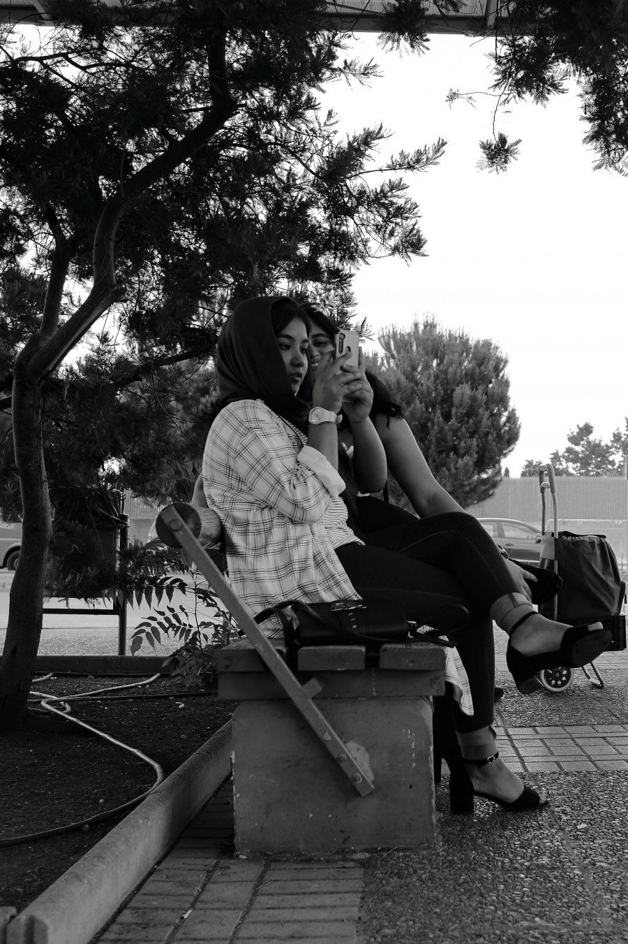 IMG_1345_edit_resize.JPG IMG_1345_edit_resize.JPG