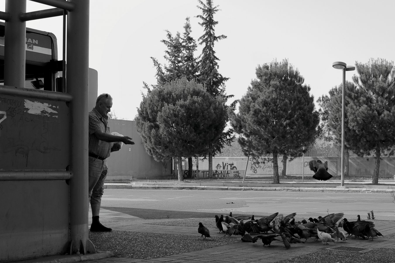 IMG_2627_edit_resize.JPG IMG_2627_edit_resize.JPG