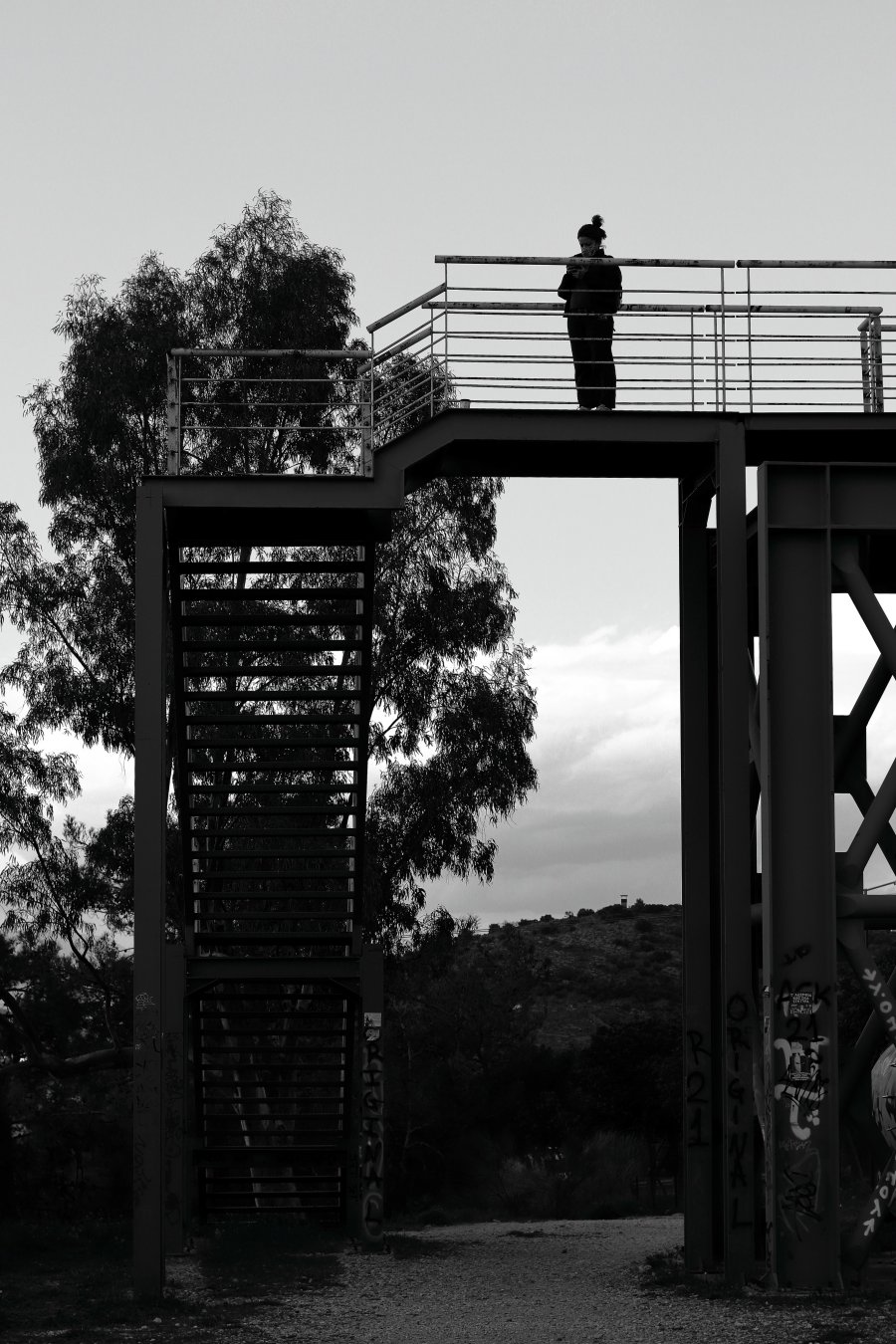 IMG_7099_edit_resize.JPG IMG_7099_edit_resize.JPG