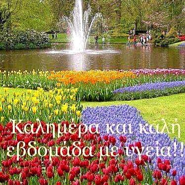 IMG-4cc04666d01f2526a39151d6fcb1662a-V.jpg