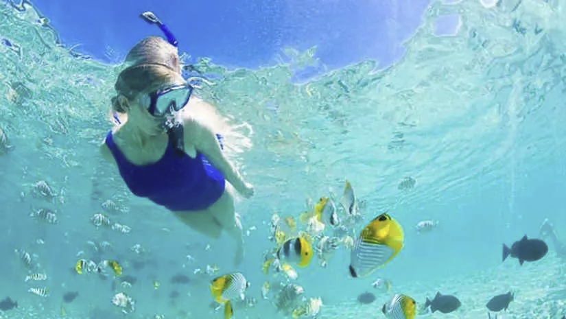 1627992925227.png 1627992925227.png